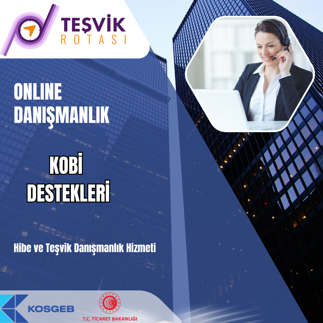 online danismanlik hizmeti mevcut isletme buyume ve gelistirme destekleri