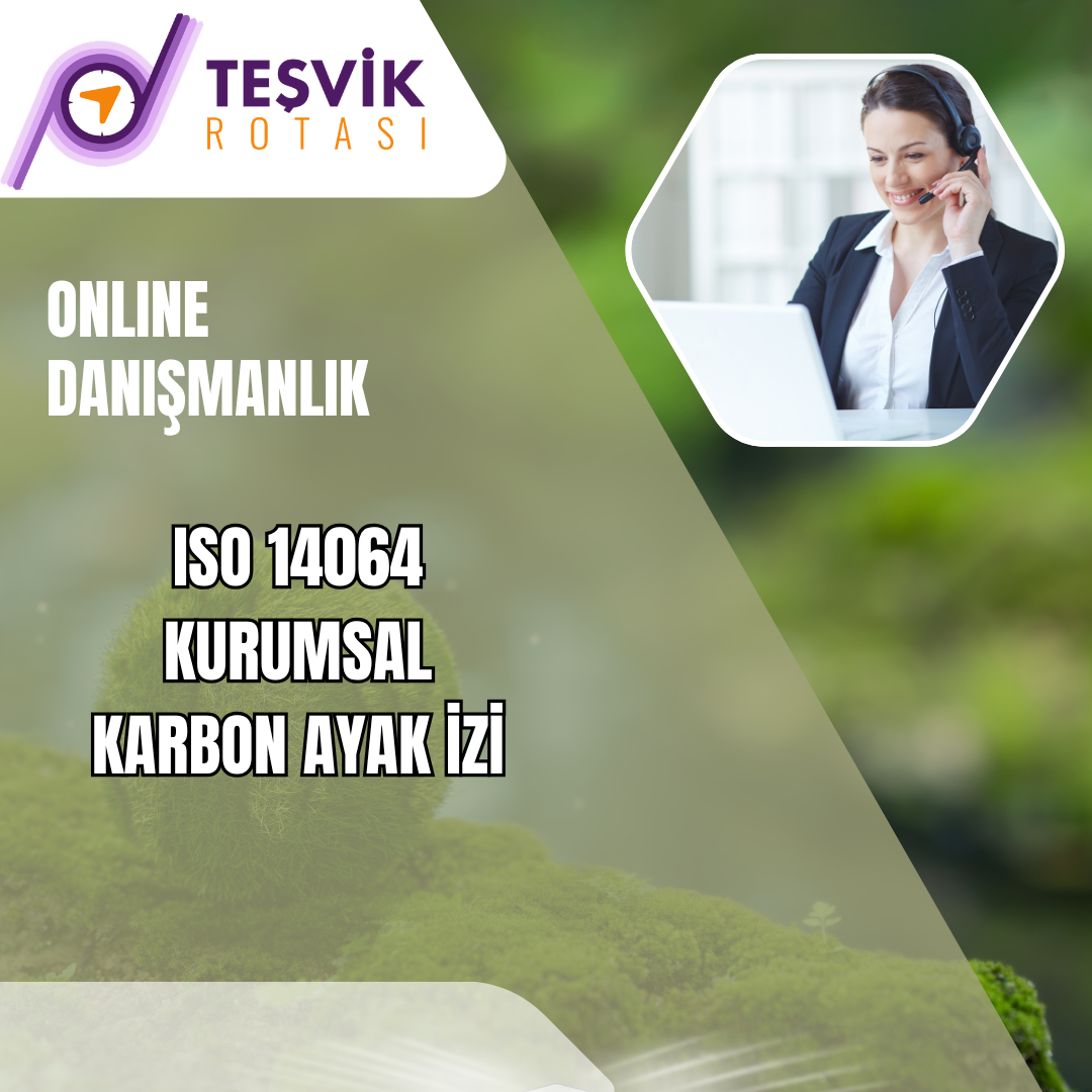 online danismanlik iso 14064 kurumsal karbon ayak i̇zi