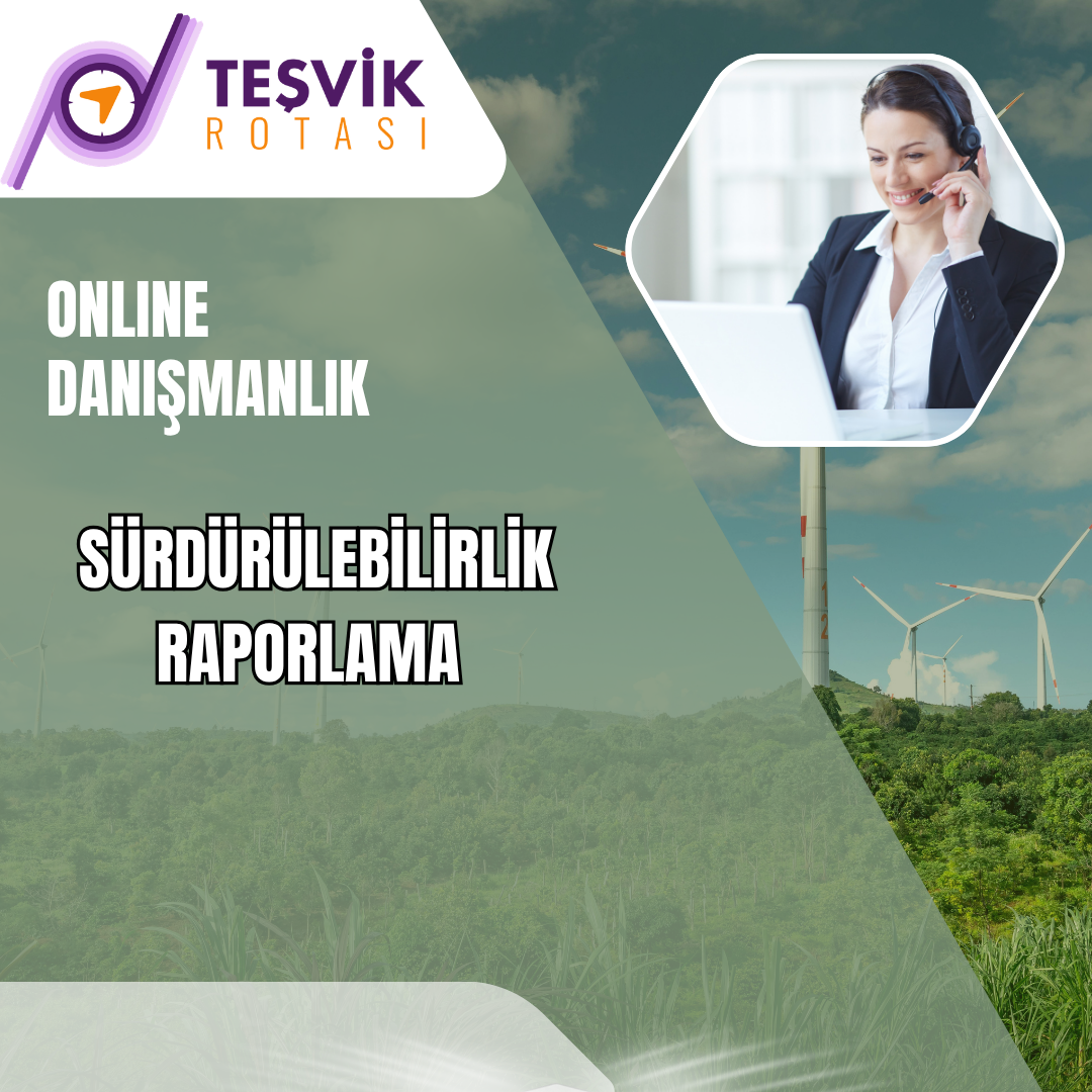 online danismanlik sürdürülebilirlik raporlama