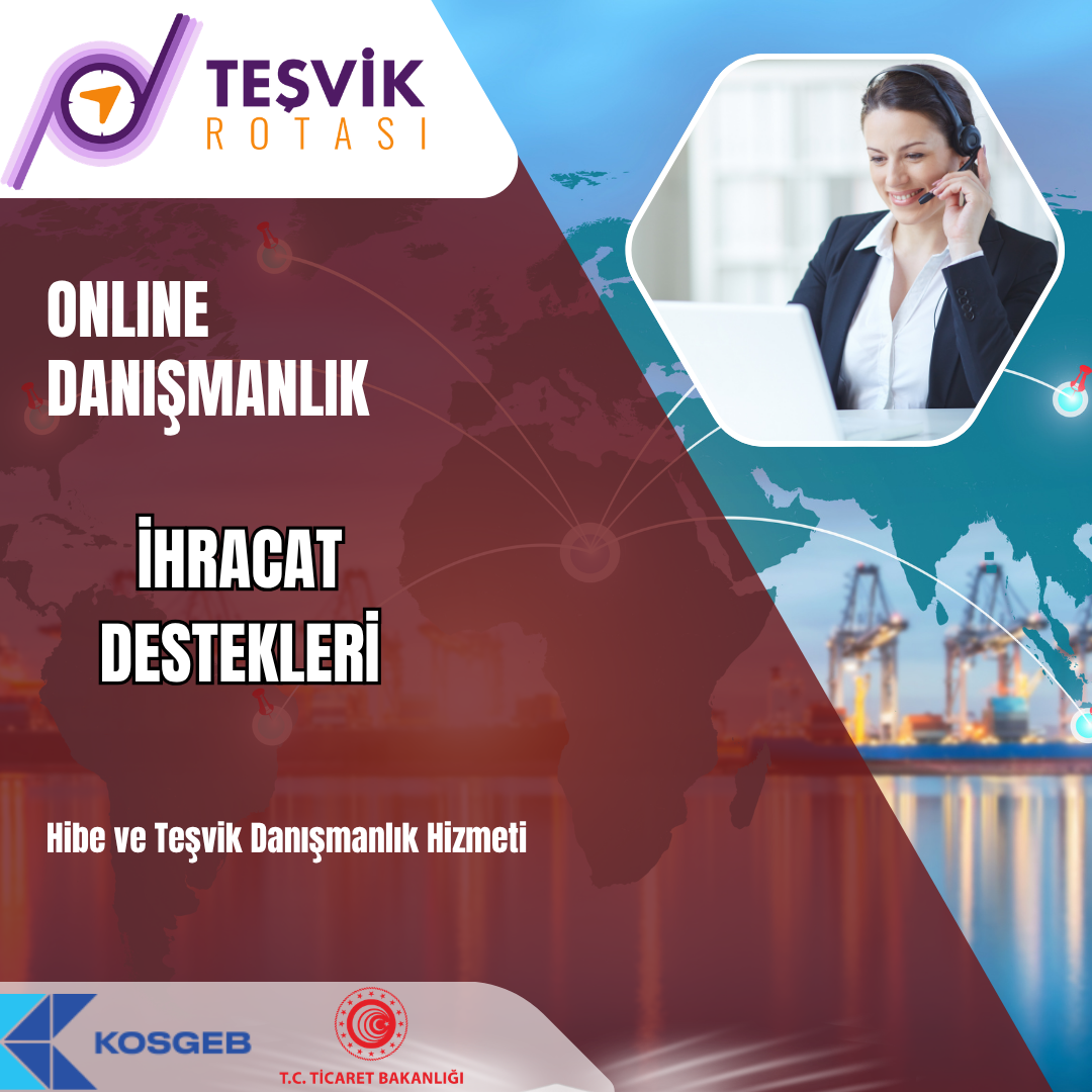 online danismanlik ihracat destekleri