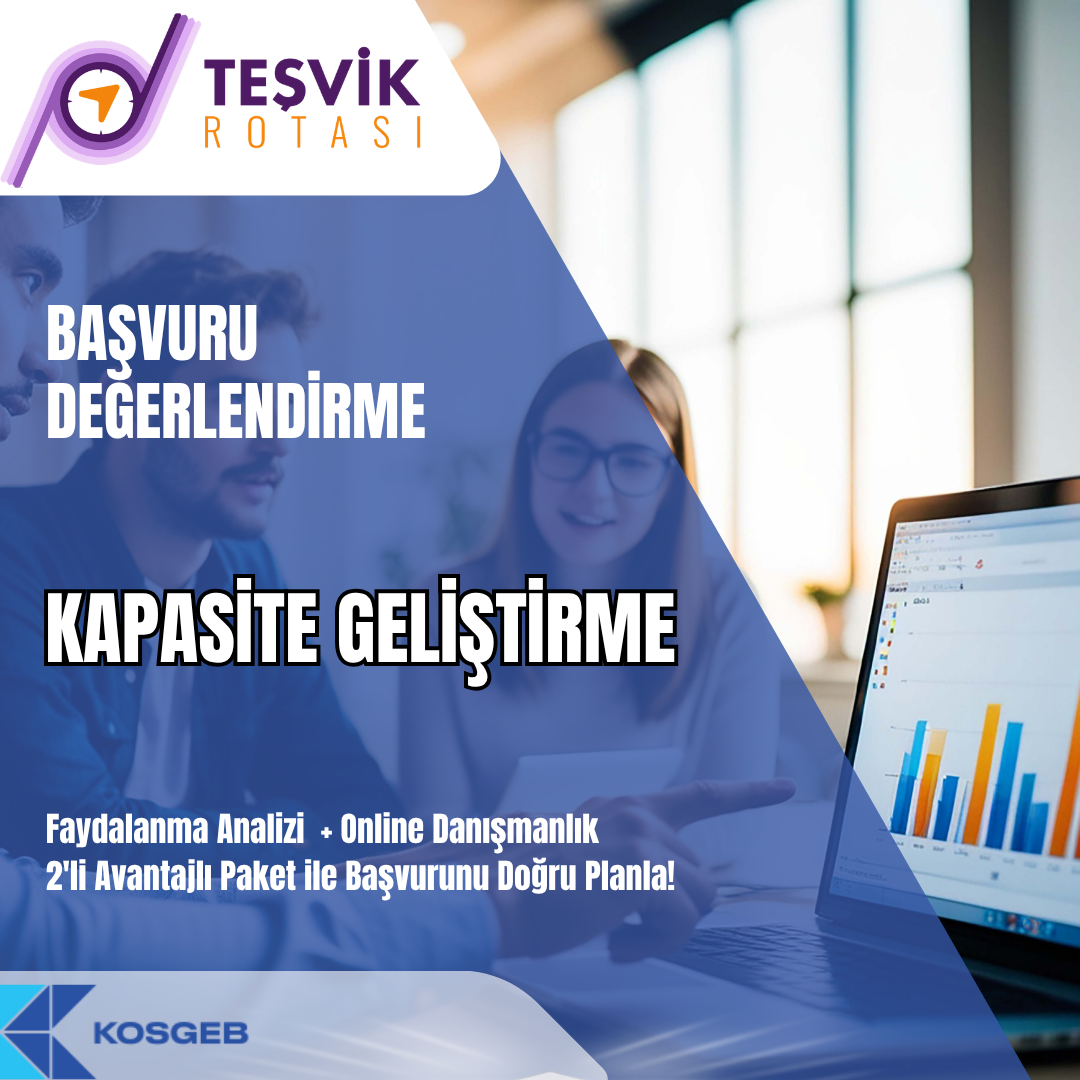 proje basvuru degerlendirme hizmeti kapasite gelistirme destegi