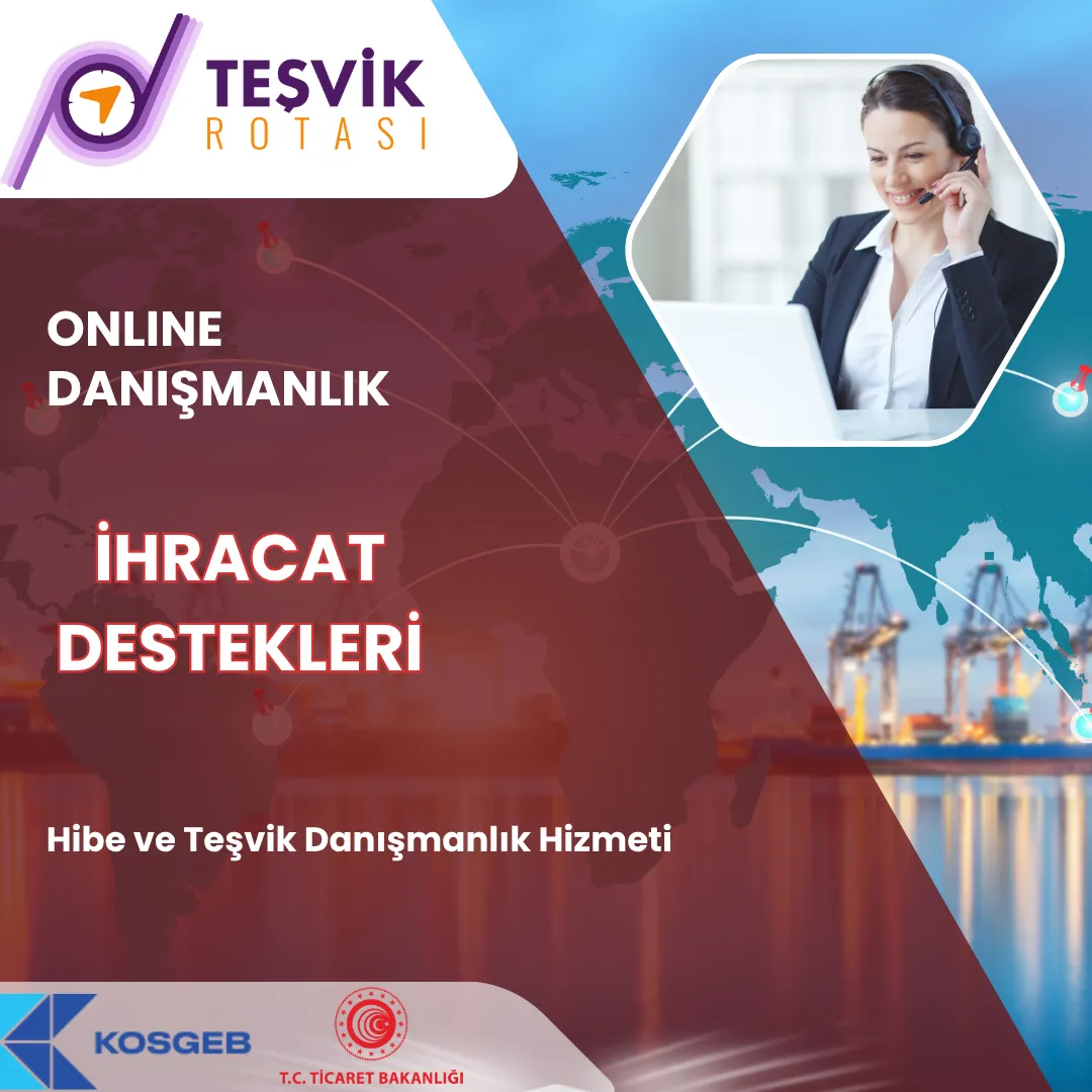 online danismanlik ihracat destekleri