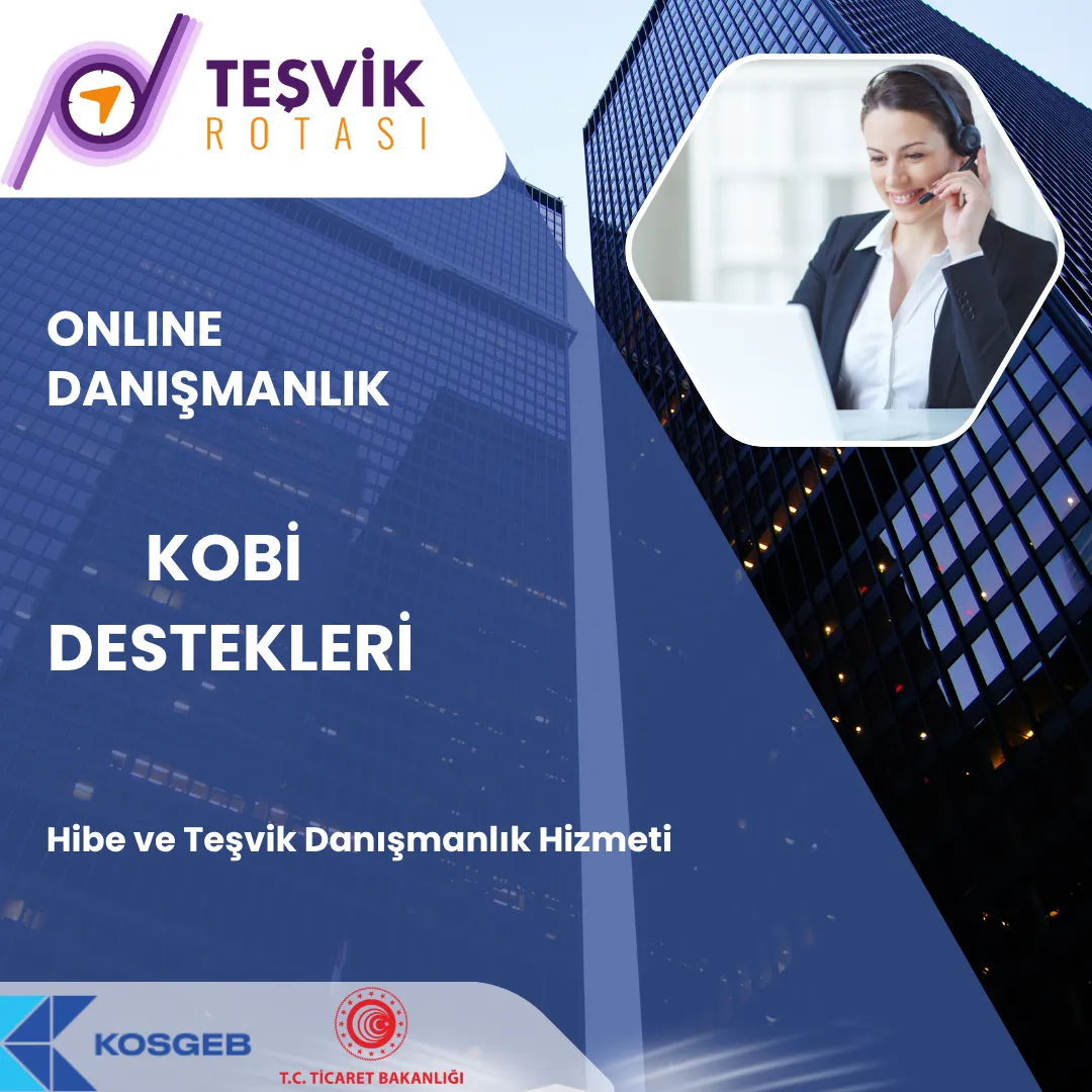 online danismanlik hizmeti mevcut isletme buyume ve gelistirme destekleri