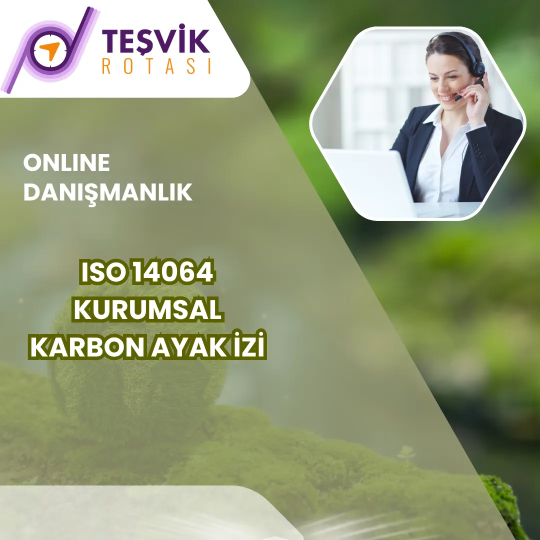 online danismanlik iso 14064 kurumsal karbon ayak i̇zi