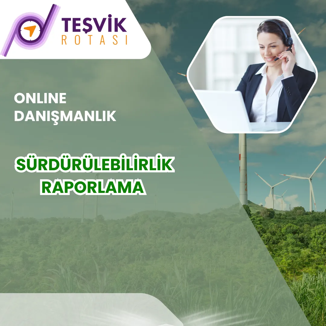online danismanlik sürdürülebilirlik raporlama